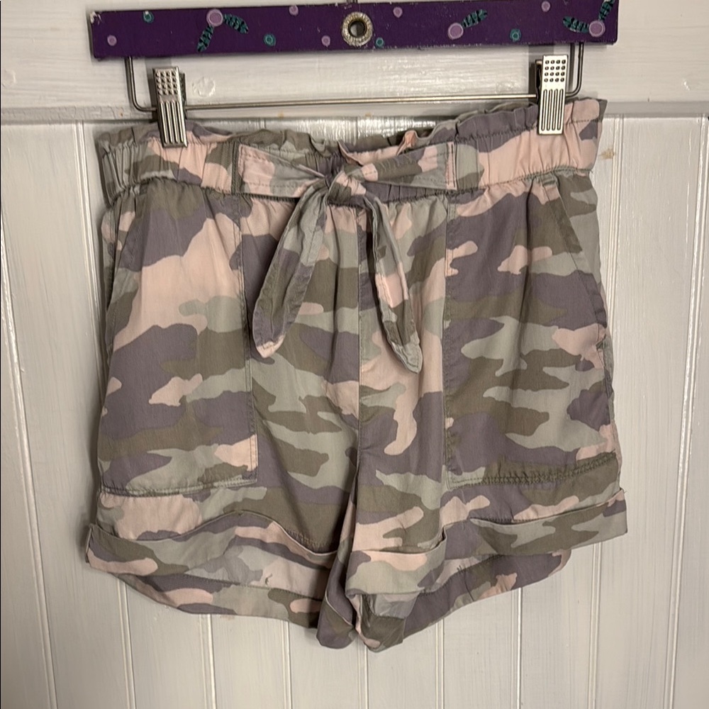 Aerie Pink and Green Cargo Print Shorts